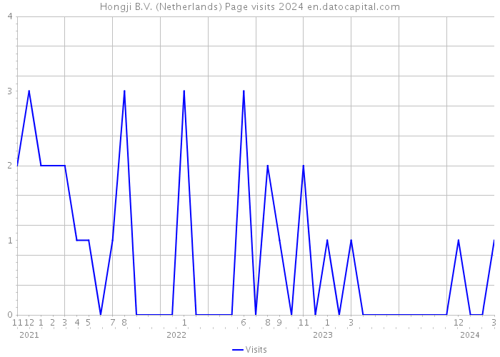 Hongji B.V. (Netherlands) Page visits 2024 