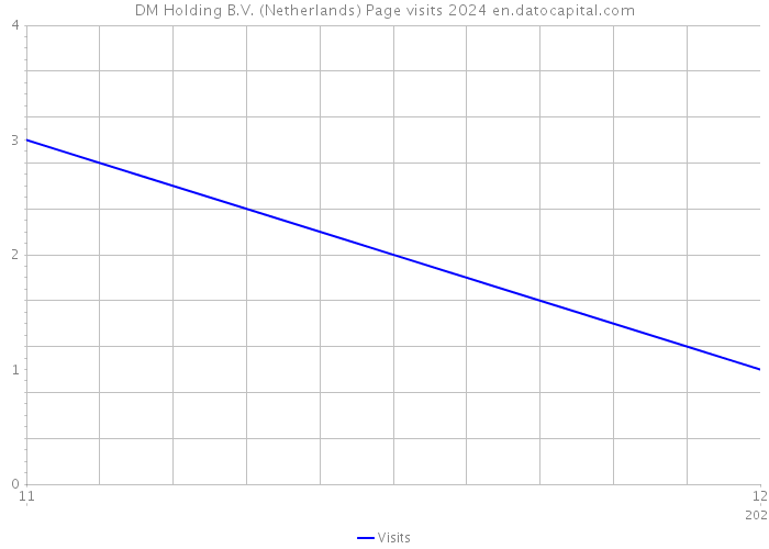 DM Holding B.V. (Netherlands) Page visits 2024 