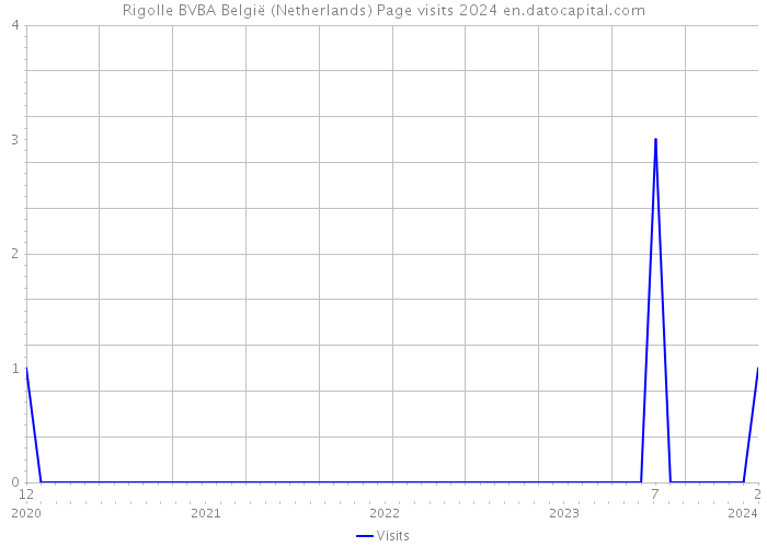 Rigolle BVBA België (Netherlands) Page visits 2024 