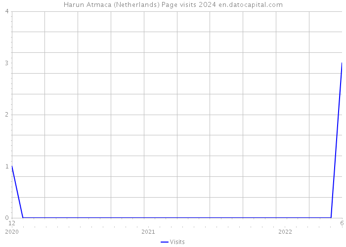 Harun Atmaca (Netherlands) Page visits 2024 