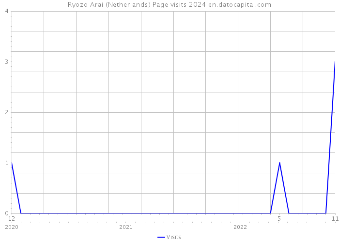 Ryozo Arai (Netherlands) Page visits 2024 
