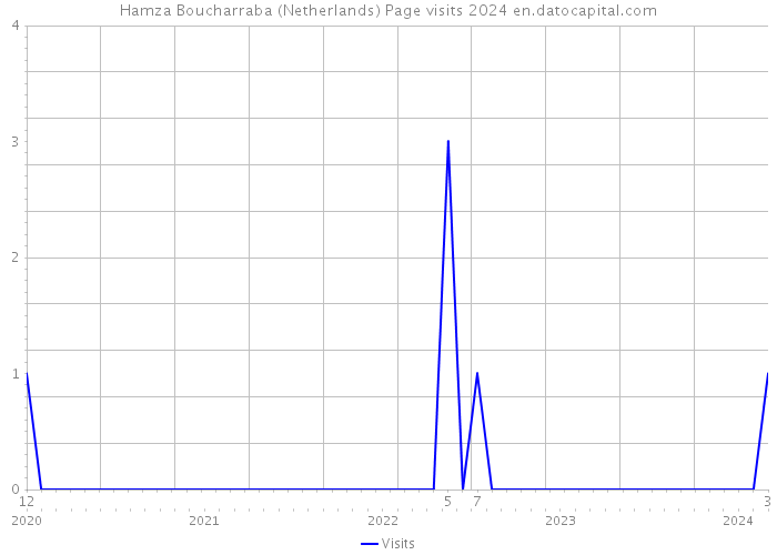 Hamza Boucharraba (Netherlands) Page visits 2024 