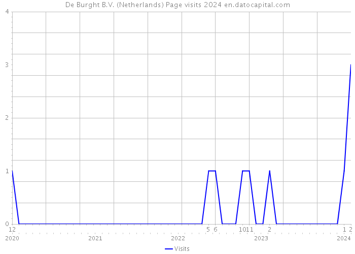 De Burght B.V. (Netherlands) Page visits 2024 