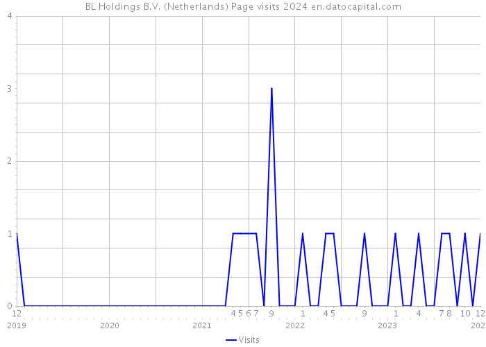 BL Holdings B.V. (Netherlands) Page visits 2024 