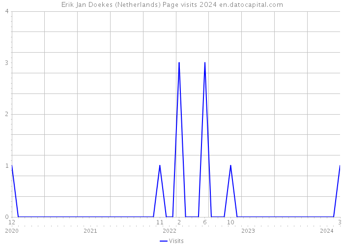 Erik Jan Doekes (Netherlands) Page visits 2024 