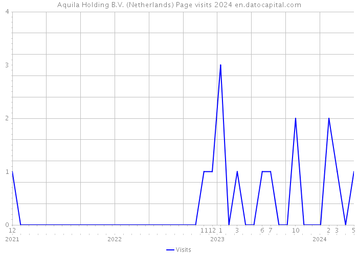 Aquila Holding B.V. (Netherlands) Page visits 2024 