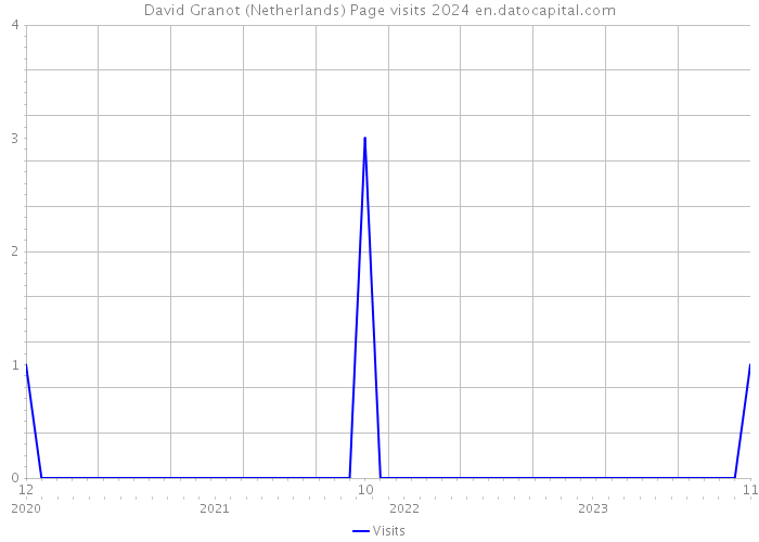 David Granot (Netherlands) Page visits 2024 