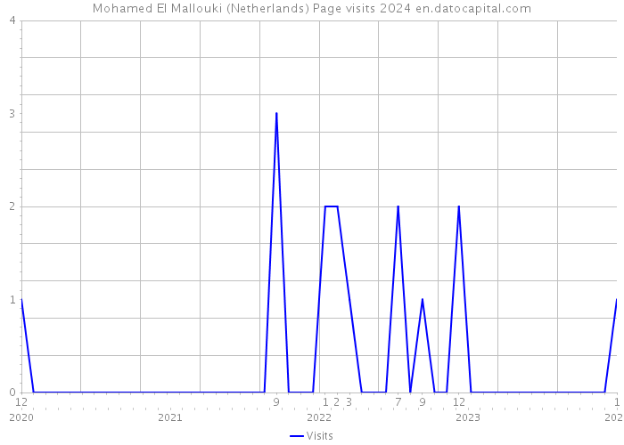Mohamed El Mallouki (Netherlands) Page visits 2024 