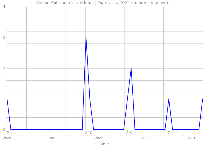 Volkan Çaliskan (Netherlands) Page visits 2024 