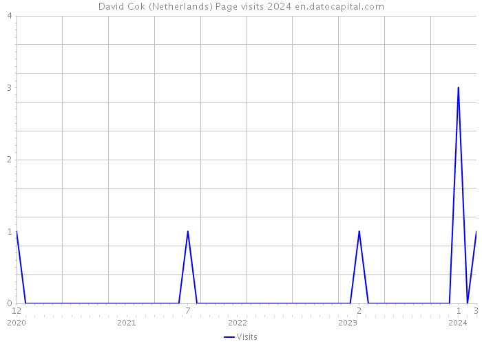 David Cok (Netherlands) Page visits 2024 