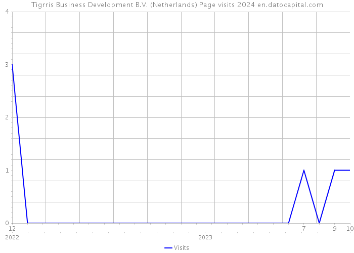 Tigrris Business Development B.V. (Netherlands) Page visits 2024 