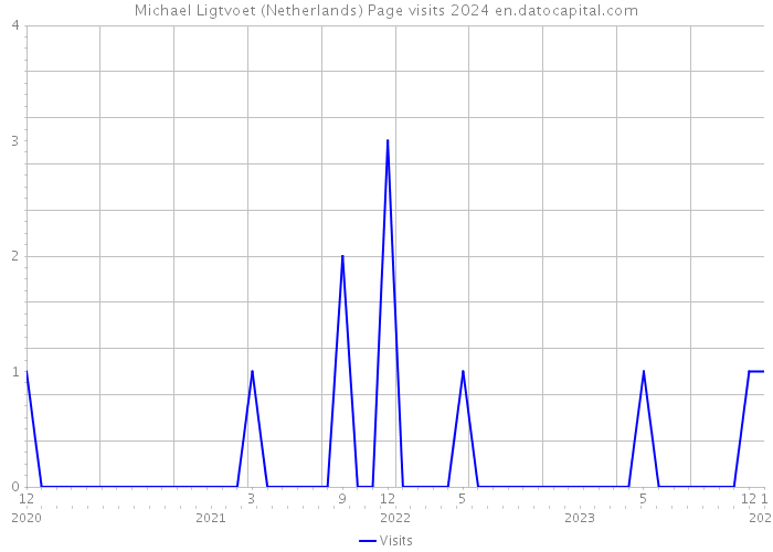 Michael Ligtvoet (Netherlands) Page visits 2024 