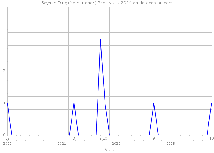 Seyhan Dinç (Netherlands) Page visits 2024 