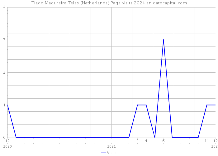 Tiago Madureira Teles (Netherlands) Page visits 2024 