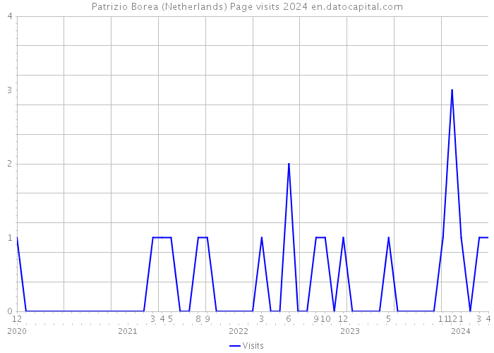 Patrizio Borea (Netherlands) Page visits 2024 