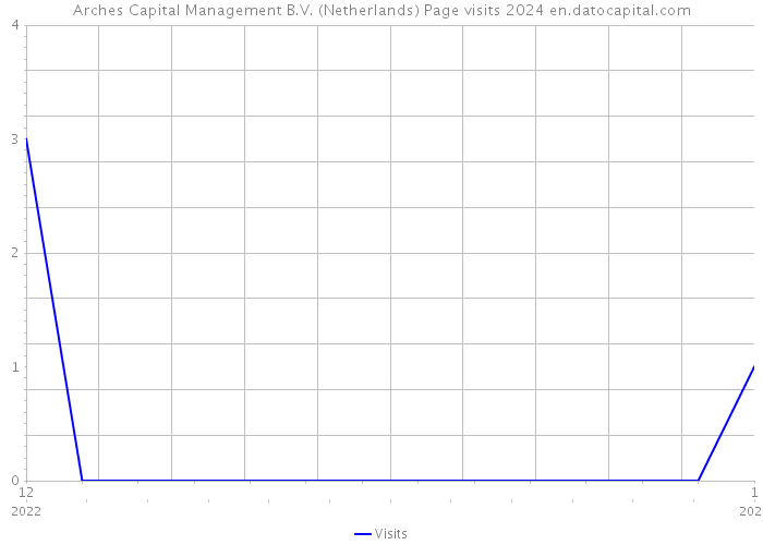 Arches Capital Management B.V. (Netherlands) Page visits 2024 