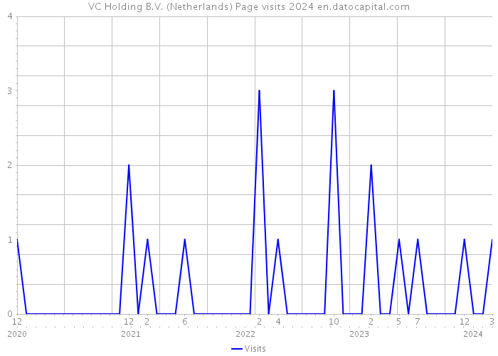 VC Holding B.V. (Netherlands) Page visits 2024 