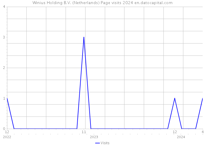 Winius Holding B.V. (Netherlands) Page visits 2024 