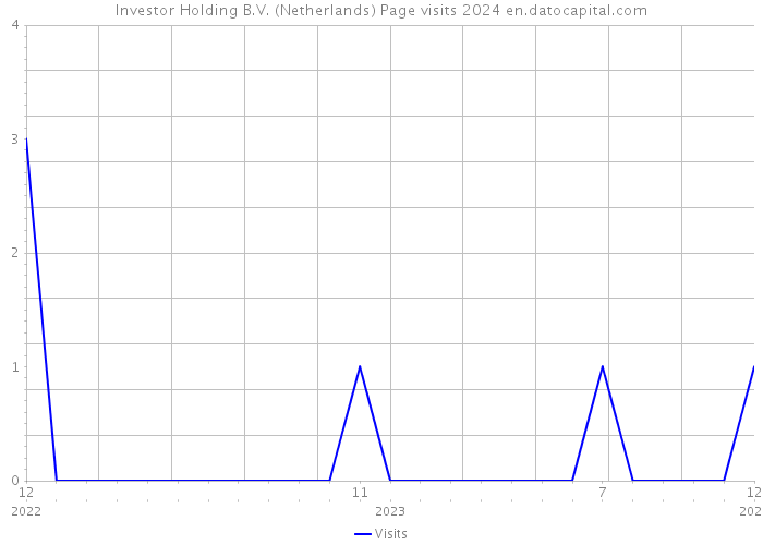 Investor Holding B.V. (Netherlands) Page visits 2024 