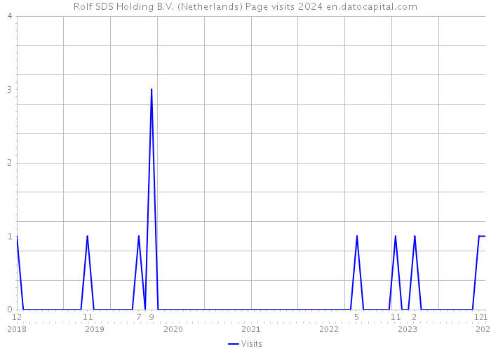 Rolf SDS Holding B.V. (Netherlands) Page visits 2024 
