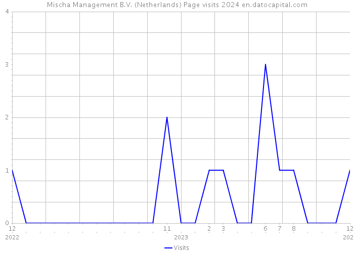 Mischa Management B.V. (Netherlands) Page visits 2024 