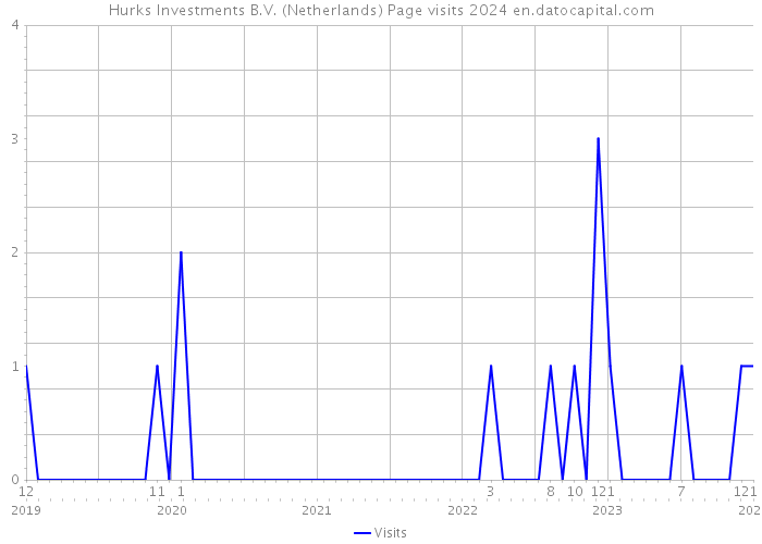 Hurks Investments B.V. (Netherlands) Page visits 2024 