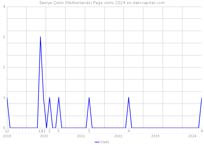 Saniye Çetin (Netherlands) Page visits 2024 