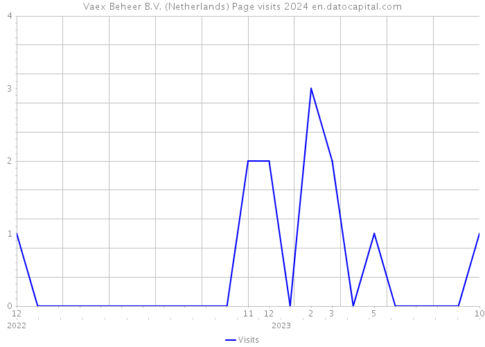 Vaex Beheer B.V. (Netherlands) Page visits 2024 