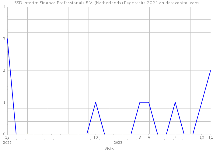 SSD Interim Finance Professionals B.V. (Netherlands) Page visits 2024 