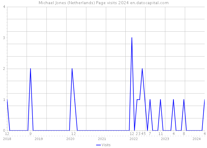 Michael Jones (Netherlands) Page visits 2024 
