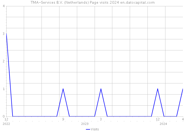 TMA-Services B.V. (Netherlands) Page visits 2024 