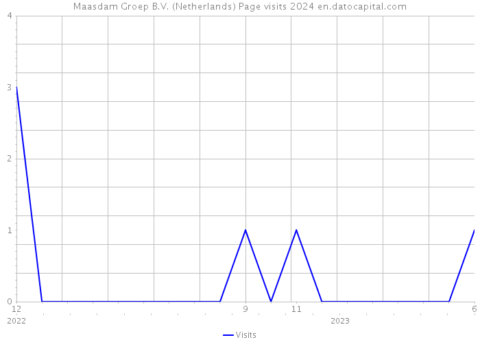 Maasdam Groep B.V. (Netherlands) Page visits 2024 