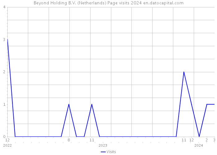 Beyond Holding B.V. (Netherlands) Page visits 2024 
