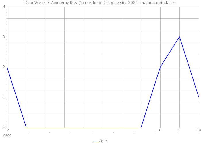 Data Wizards Academy B.V. (Netherlands) Page visits 2024 