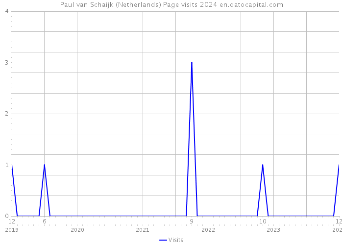Paul van Schaijk (Netherlands) Page visits 2024 