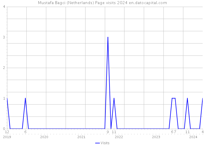 Mustafa Bagci (Netherlands) Page visits 2024 