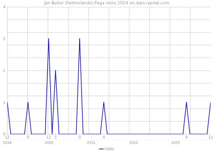 Jan Buiter (Netherlands) Page visits 2024 