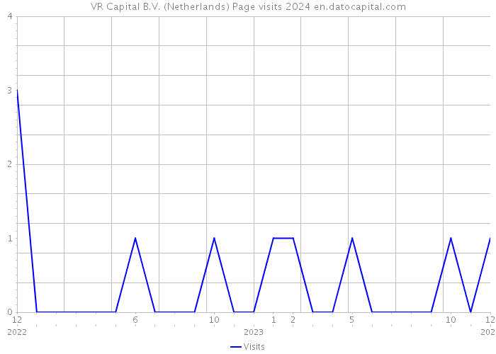 VR Capital B.V. (Netherlands) Page visits 2024 