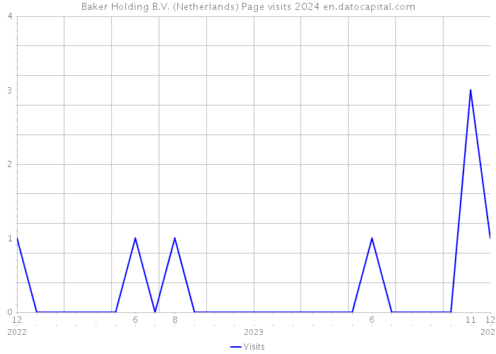 Baker Holding B.V. (Netherlands) Page visits 2024 