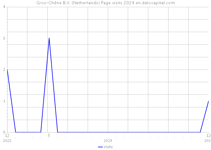 Gros-Chêne B.V. (Netherlands) Page visits 2024 