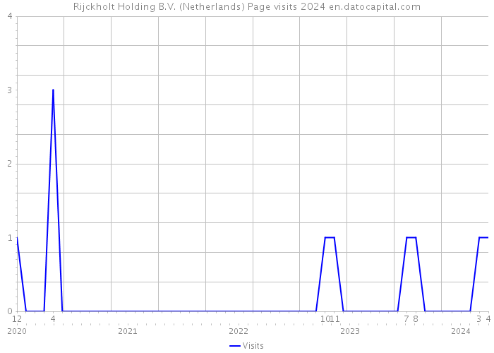 Rijckholt Holding B.V. (Netherlands) Page visits 2024 