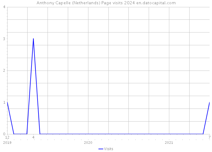 Anthony Capelle (Netherlands) Page visits 2024 