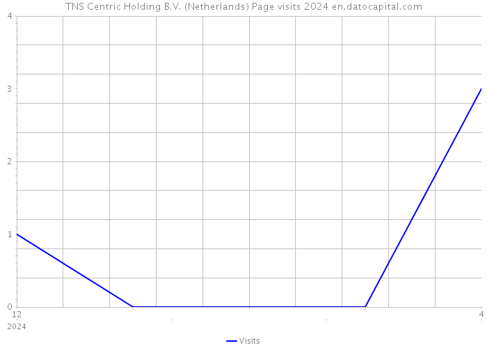 TNS Centric Holding B.V. (Netherlands) Page visits 2024 