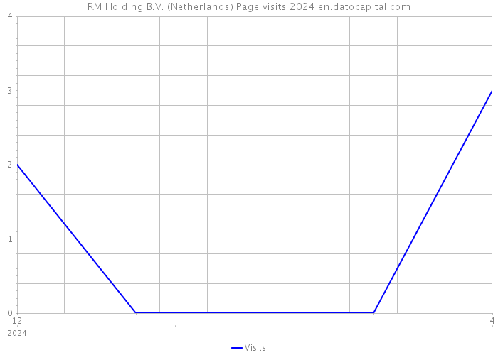 RM Holding B.V. (Netherlands) Page visits 2024 