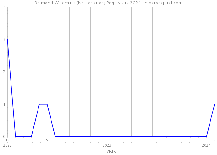 Raimond Wiegmink (Netherlands) Page visits 2024 