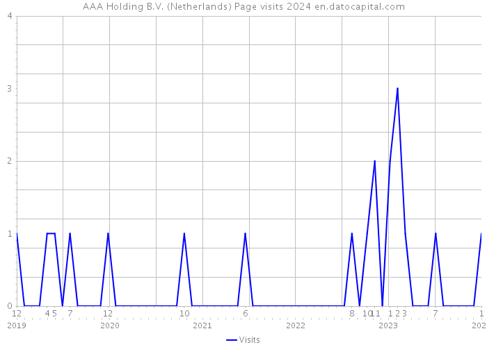 AAA Holding B.V. (Netherlands) Page visits 2024 