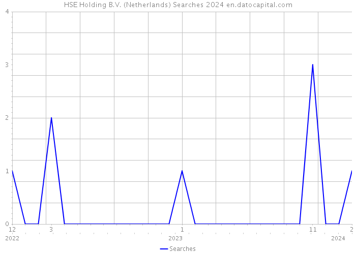 HSE Holding B.V. (Netherlands) Searches 2024 