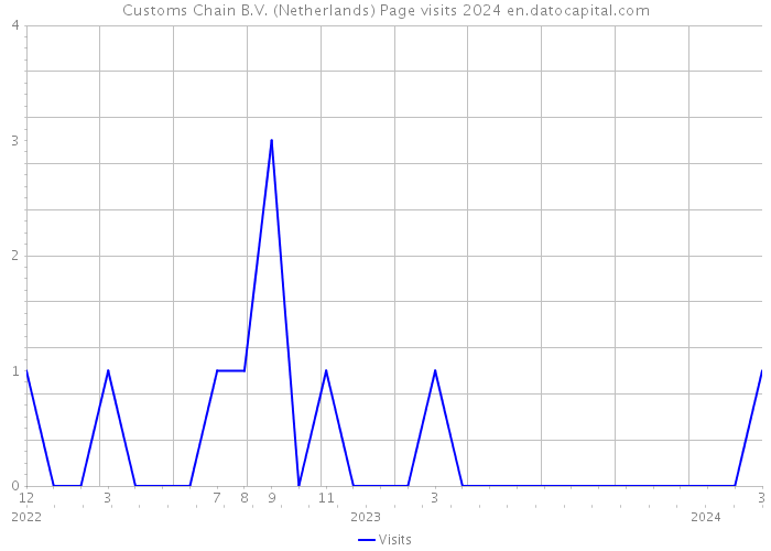 Customs Chain B.V. (Netherlands) Page visits 2024 