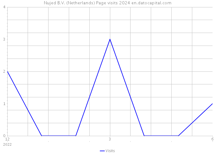 Nujed B.V. (Netherlands) Page visits 2024 