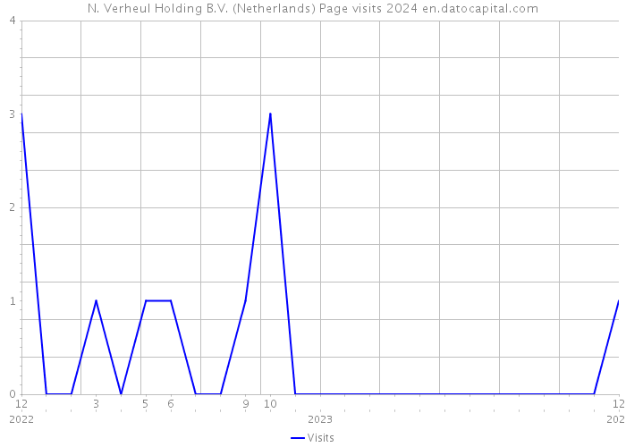 N. Verheul Holding B.V. (Netherlands) Page visits 2024 